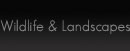 Sport Wildlife & Landscapes